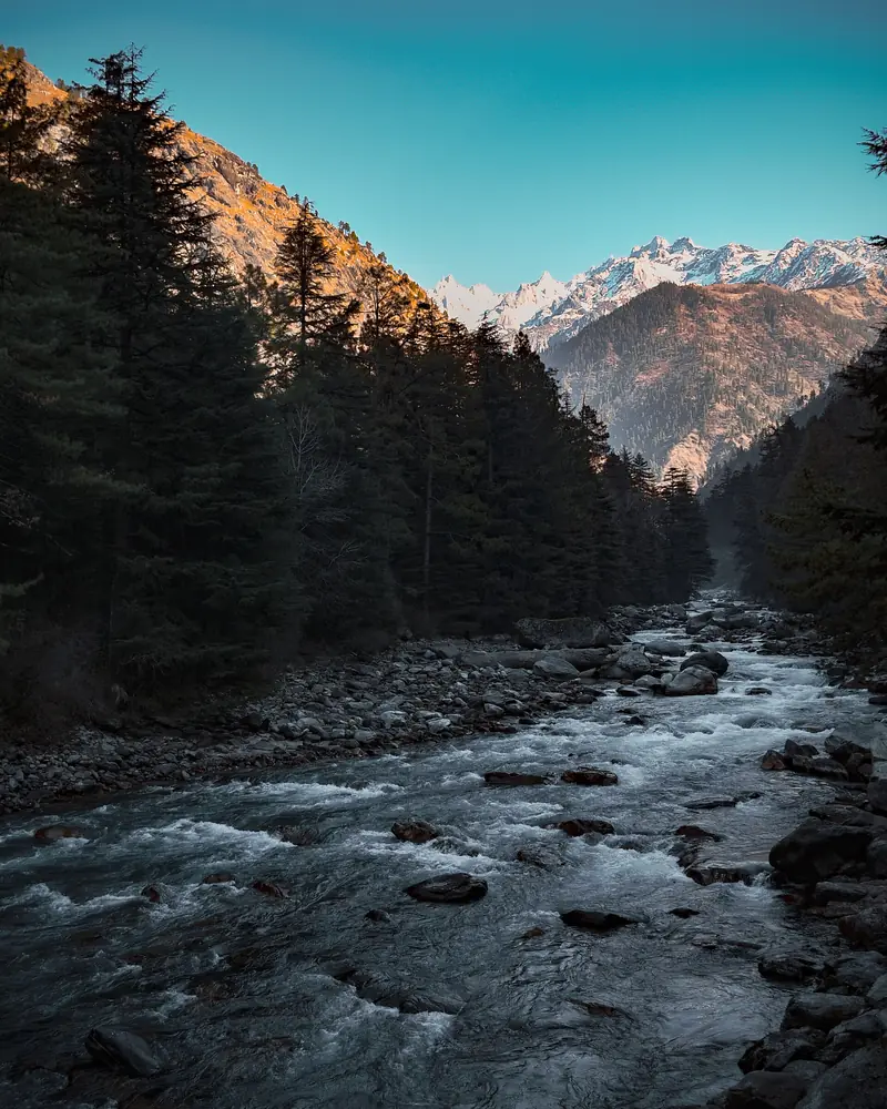 Parvati river flowing through pine forest near Kasol
